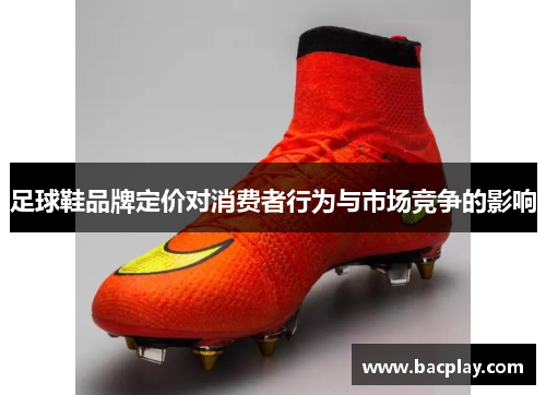 足球鞋品牌定价对消费者行为与市场竞争的影响